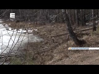 В Енисейском районе у Монастырского озера заметили семью медведей