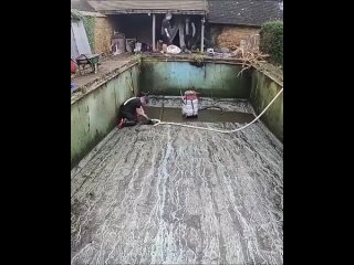Очень старый бассейн