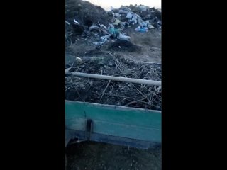 У новосергиевцев с трудом получается вывезти мусор на местный полигон