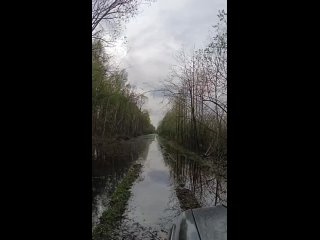 Видео от Рязанская Новая газета