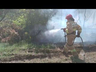 Сотрудники МЧС России ликвидировали пожар в лесхозе Володарского района