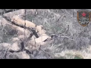 Combat work of FPV Drone Operators from the Zarya Battalion