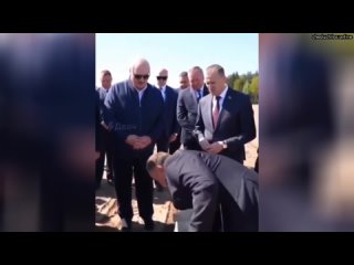 Где министр Ищи зерно!: Лукашенко заставил министра сельского хозяйства проверить качество и глуб