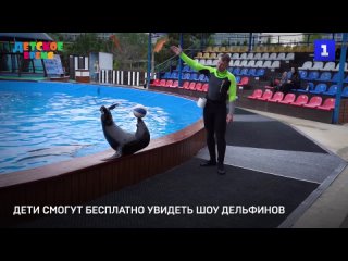 Дети смогут бесплатно увидеть шоу дельфинов