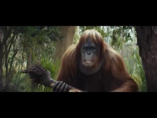 Финальный трейлер фильма Планета обезьян: Новое царство