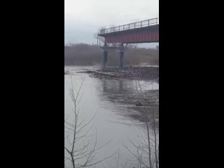 Деревянный мост в деревне Лаптева Кетовского района в Курганской области снесло и прибило к берегу мощным течением реки Тобол