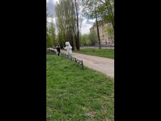 Видео от Праздник Тут I Нижегородская область