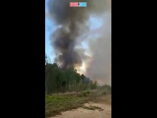 Лесные пожары добрались до пригородов испанской Валенсии