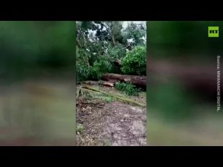 Houses damaged, trees uprooted in Tanzania after storm