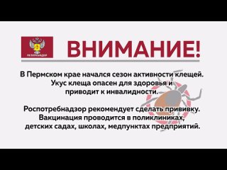 Видео от МАОУ СОШ №14 здание 2