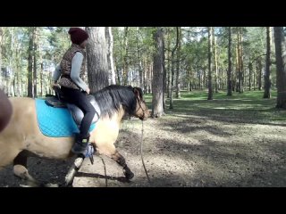Видео от Конный клуб “Спирит“ прогулки на лошадях г.Миасс