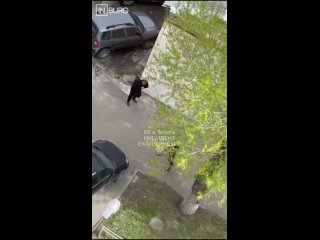 В Екатеринбурге во время конфликта на Сортировке мужчина выстрелил в оппонента.  Видео было снято в ЖК «Небесный».... (видео)