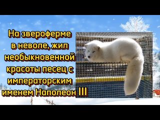 Городская детская библиотека-филиал №47tan video