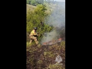 Огнеборцы ликвидировали горение сухостоя в Амвросиевском районе