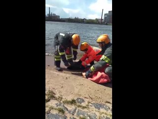Видео от Поисково-спасательная служба  Санкт-Петербурга