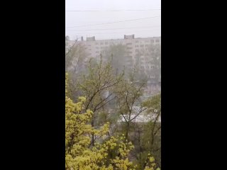 Видео от Маргариты Шелагиной