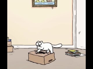 Коробочка и кот Саймона