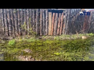 В огород в резиновых сапогах! Уже целый месяц жители Косулино страдают от потопов