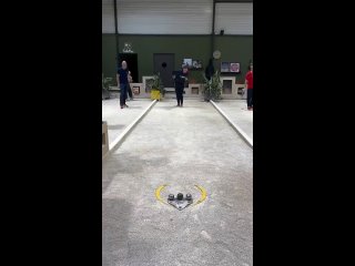 A perfect shot with a steel ball