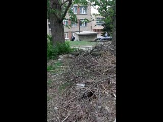 В городе Харцызске на Черёмушки все в свалке от деревьев с прошлого года.