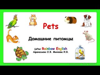 Rainbow English 3 класс.  Домашние питомцы. Pets