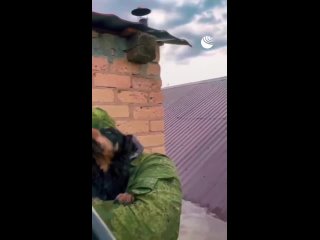 Волонтеры спасли песика, запертого в затопленном доме в пригороде Оренбурга.