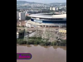 Flooding in Brazil has broken historical records  the local population is being evacuated, and animals that have escaped onto r