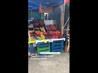 У вас цены огонь, в Москве клубника 790 за кг - Александр Казаков