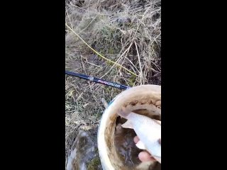 Видео от Рыбалка с ЮРГА-FISHING