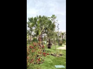 В Сириусе на побережье открылся «Музыкальный сад»😍  Парк разделен на множество тематических зон, целиком защищен от... (видео)