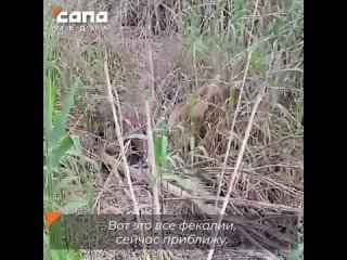 Около станицы в Ростовской области образовалось болото из стоков