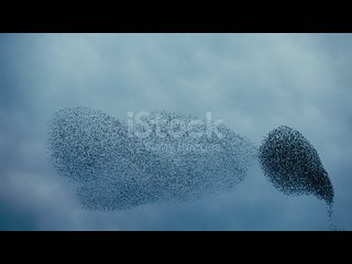 istockphoto-1295217100-640_adpp_is.mp4