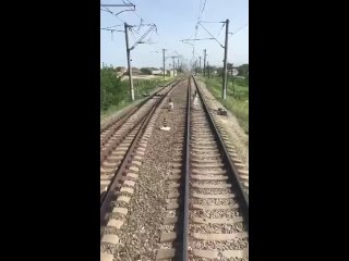 На видео попал момент смертельного травмирования девушки на железной дороге в Мамедкале