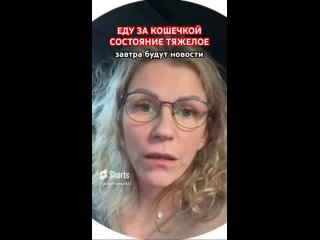 Video by КОШАЧИЙ МИР (помощь кошкам и котятам) - КОЛПИНО