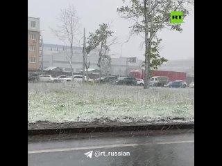 Снегопад не утихает в Москве. В сети делятся новыми кадрами майской непогоды