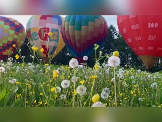 Доброе утро!  Видео: ТГ-канал SharNN (видео)