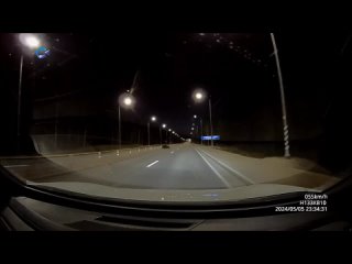 В Петрозаводске дикий кабан бегает по оживленному шоссе