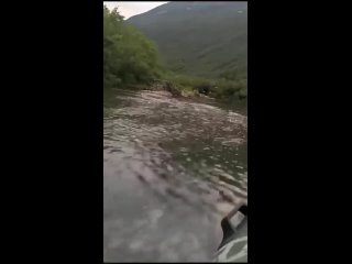 Видео_от_Рыболов___КЛЁВая_рыбалка