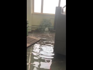 В Саровском политехникуме прорвало трубу 💦  UPD: Оказалось, что видео с потопом в политехе, снято ещё в мае. Об этом... (видео)