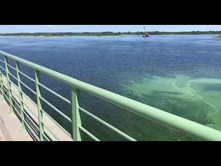 Нижегородцев напугало зеленое пятно, внезапно возникшее на Волге в районе Стрелки. Некоторые предположили, что вода... (видео)