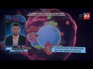 «Урок цифры» прошёл в Луганском учебно-воспитательного комплексе имени Георгия Берегового