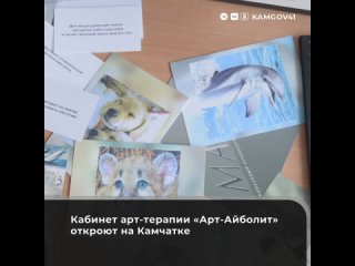 Кабинет арт-терапии Арт-Айболит откроют на Камчатке