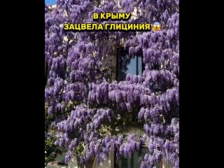 Видео от WILD RUSSIANS - ПУТЕШЕСТВИЯ ПО РОССИИ