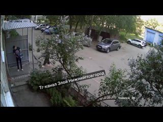 Какие-то бессердечные молодые люди выбросили котят.  Это попало на камеру видеонаблюдения. Животных вытряхнули из... (видео)