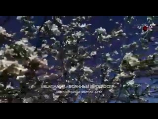 Видео от МК Пчёлка ТОС Пчелкин Дом