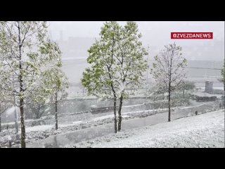 Мощная снежная метель накрыла Москву