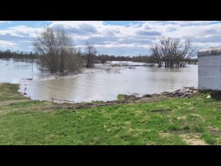 Вода подходит к деревне Тюлешов Бор.