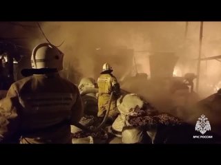 Спасатели локализовали пожар в деревообрабатывающем цехе в Апшеронске