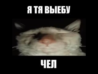 Я ТЯ ВЫЕБУ ЧЕЛ