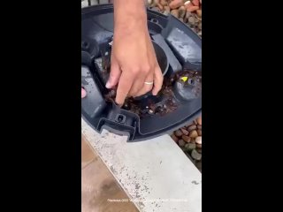 Робот-пылесос для чистки бассейна